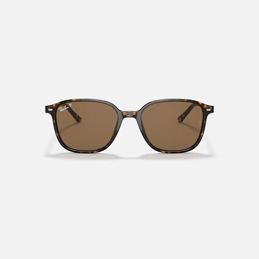 Ray-Ban Leonard RB2193