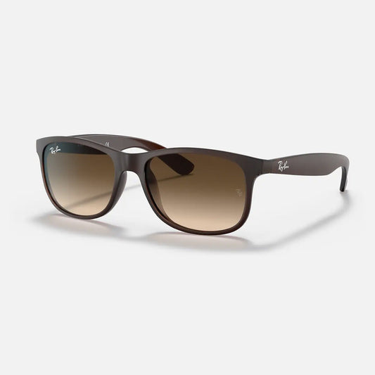 Ray-Ban Andy RB4202 607313