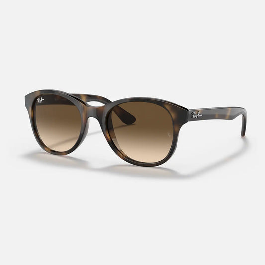 Ray-Ban RB4203 710/13