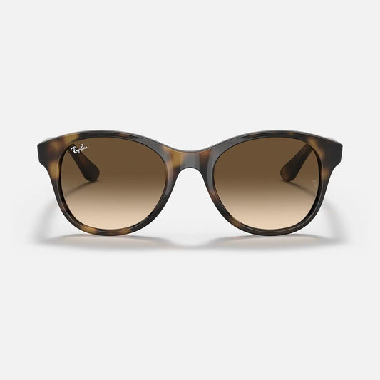 Ray-Ban RB4203 710/13