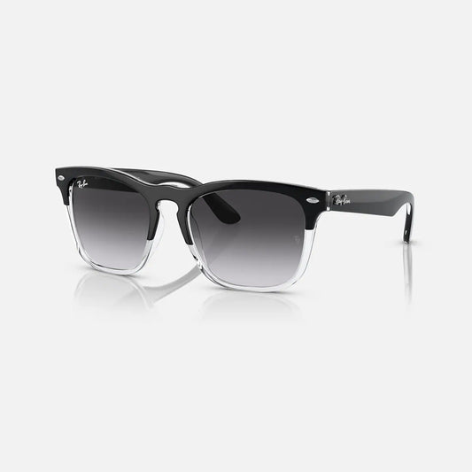 Ray-Ban Steve RB4487V 66308G