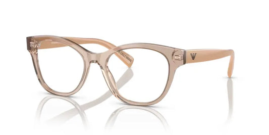 EMPORIO ARMANI 0EA3162- Transparent tundra